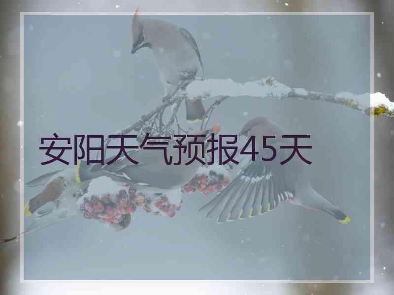安阳天气预报45天