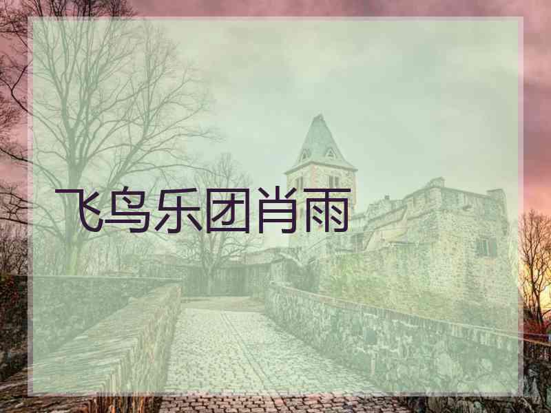 飞鸟乐团肖雨