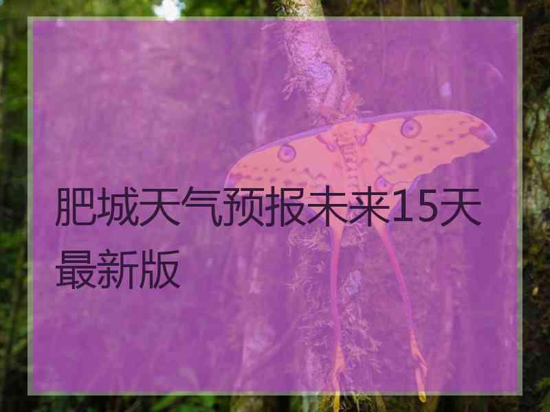 肥城天气预报未来15天最新版