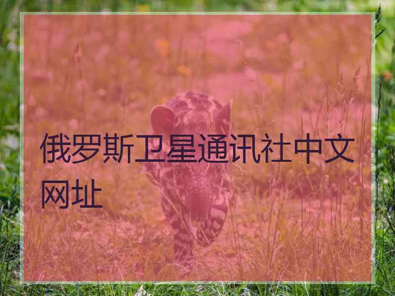 俄罗斯卫星通讯社中文网址