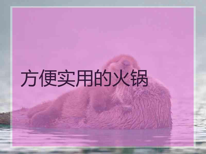 方便实用的火锅