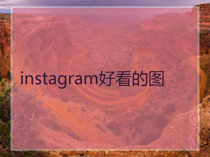 instagram好看的图