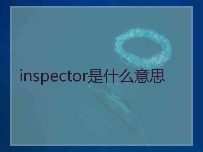 inspector是什么意思