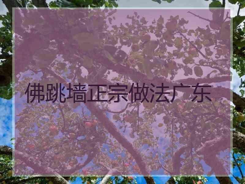 佛跳墙正宗做法广东