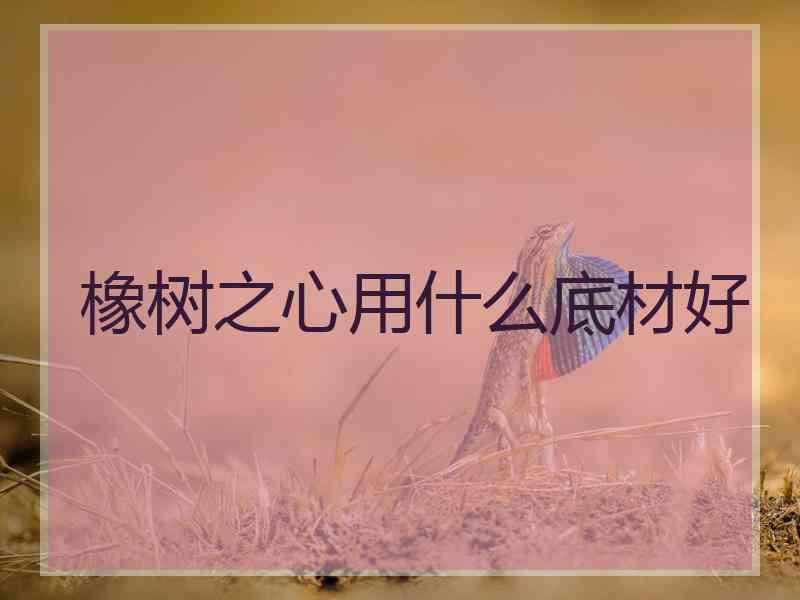 橡树之心用什么底材好