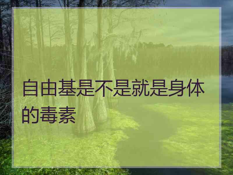 自由基是不是就是身体的毒素