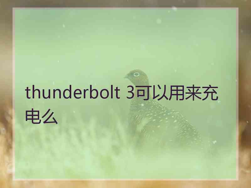 thunderbolt 3可以用来充电么
