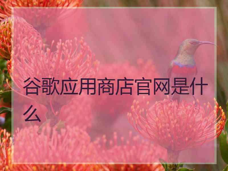 谷歌应用商店官网是什么