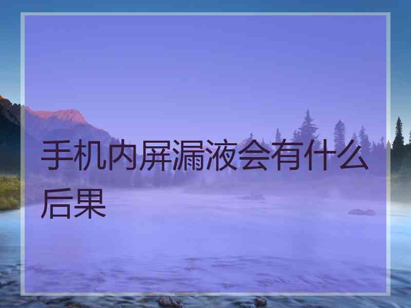 手机内屏漏液会有什么后果