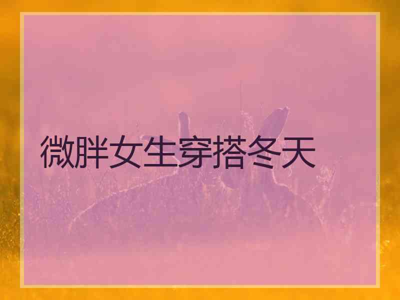 微胖女生穿搭冬天