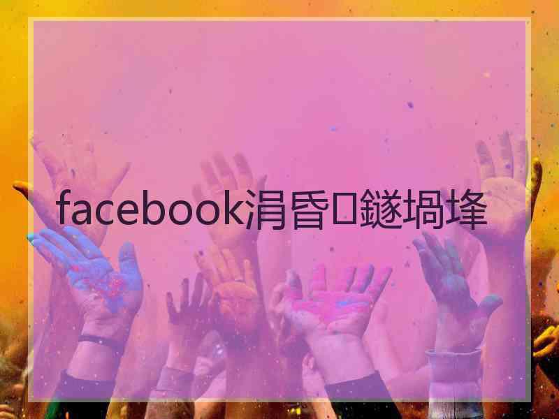 facebook涓昏鐩堝埄