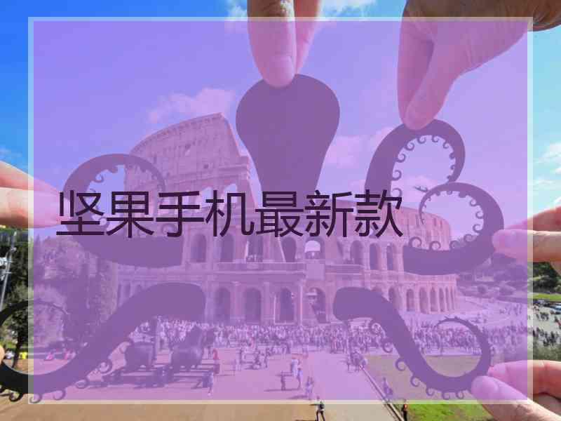 坚果手机最新款