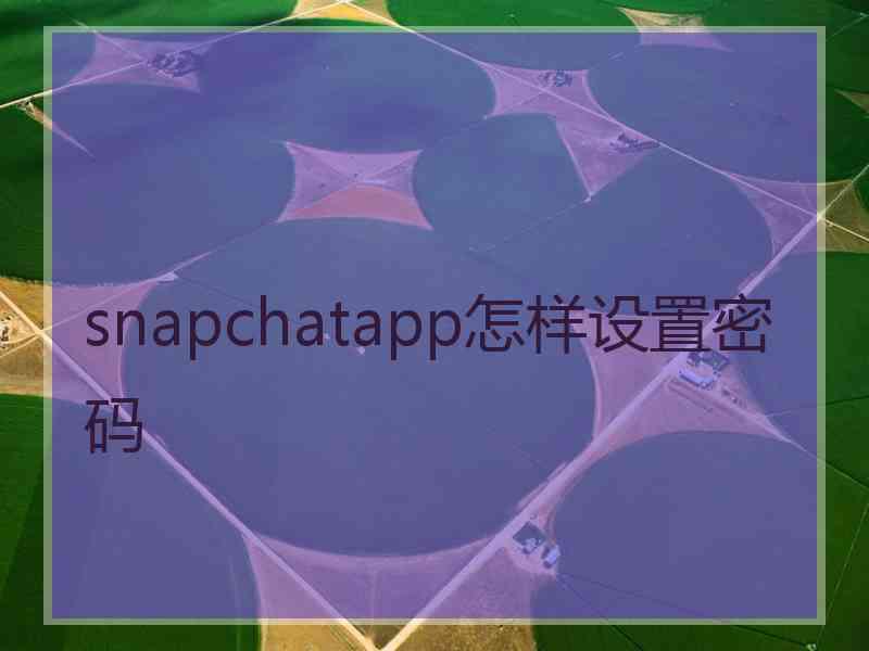 snapchatapp怎样设置密码