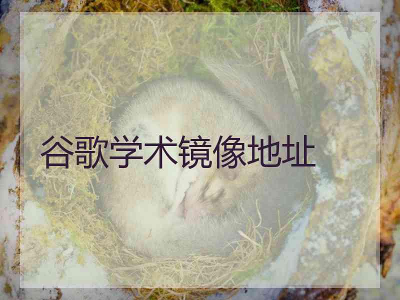 谷歌学术镜像地址
