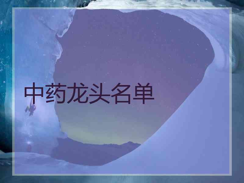 中药龙头名单