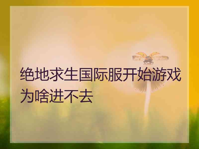 绝地求生国际服开始游戏为啥进不去
