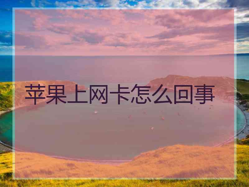 苹果上网卡怎么回事