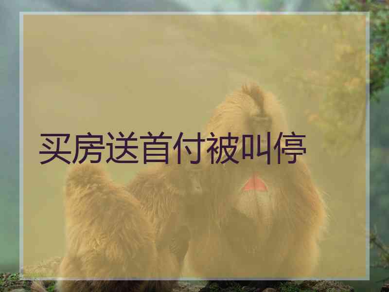 买房送首付被叫停