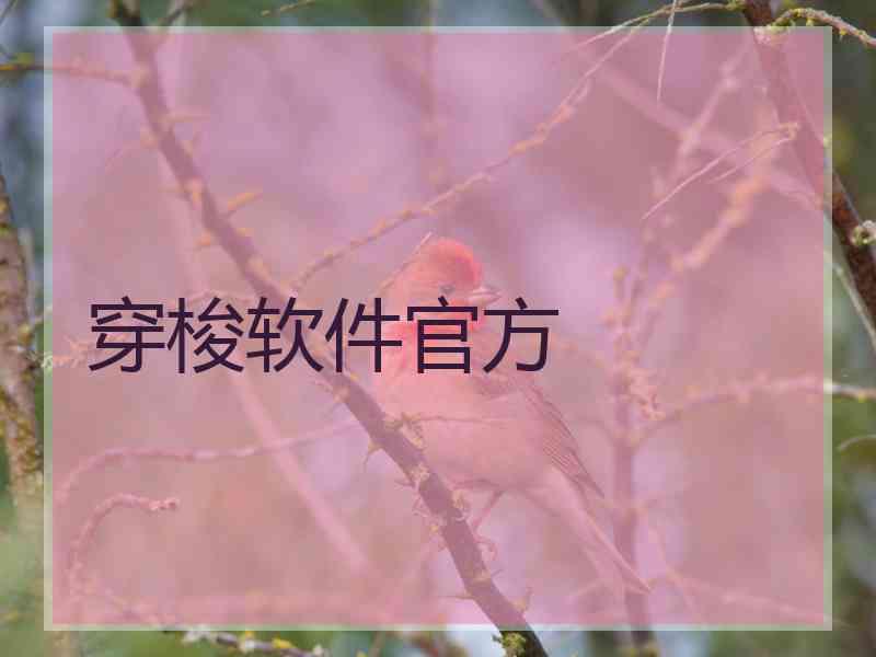 穿梭软件官方