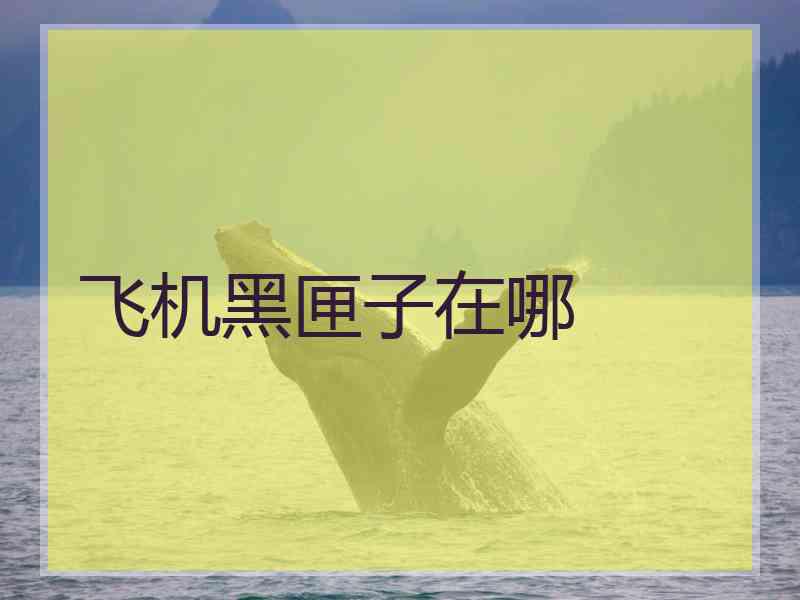 飞机黑匣子在哪