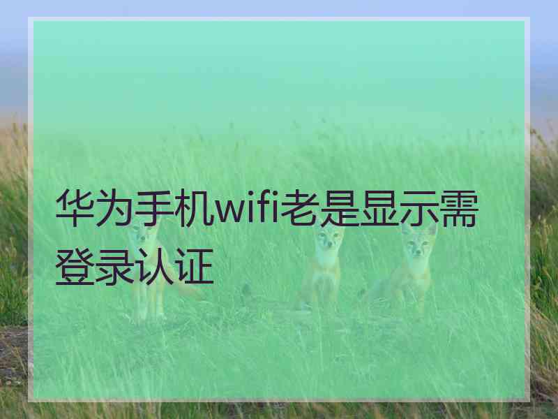 华为手机wifi老是显示需登录认证