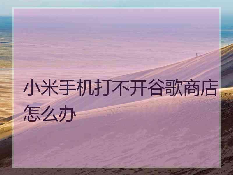 小米手机打不开谷歌商店怎么办