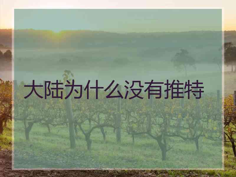 大陆为什么没有推特