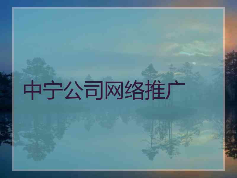 中宁公司网络推广