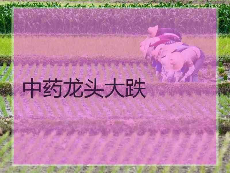 中药龙头大跌