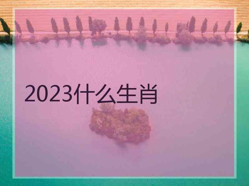 2023什么生肖