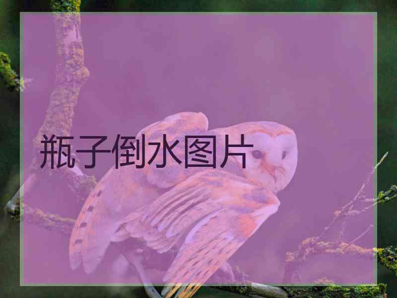 瓶子倒水图片