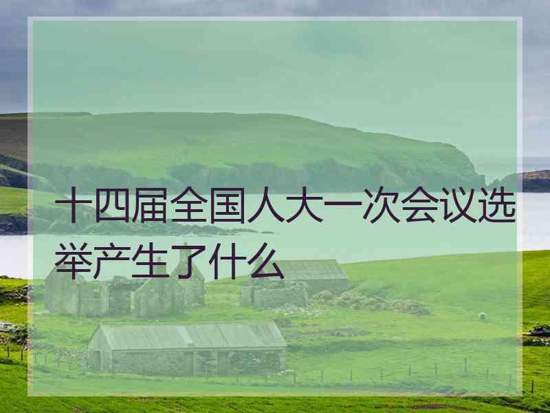 十四届全国人大一次会议选举产生了什么