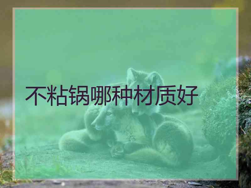 不粘锅哪种材质好