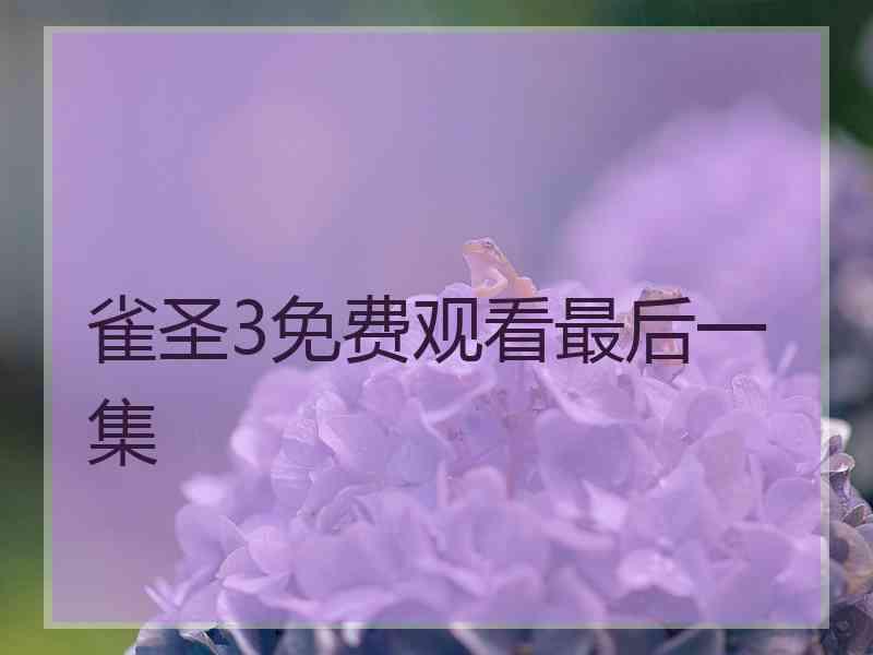 雀圣3免费观看最后一集