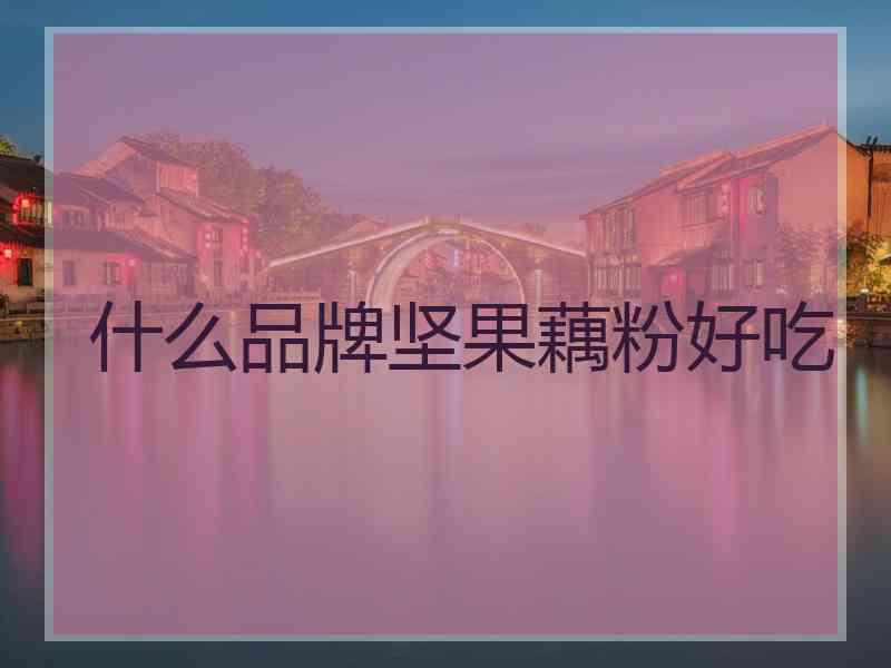 什么品牌坚果藕粉好吃