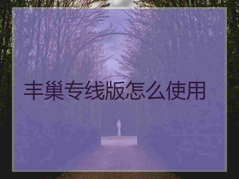 丰巢专线版怎么使用