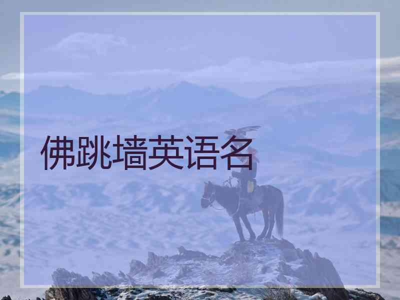佛跳墙英语名