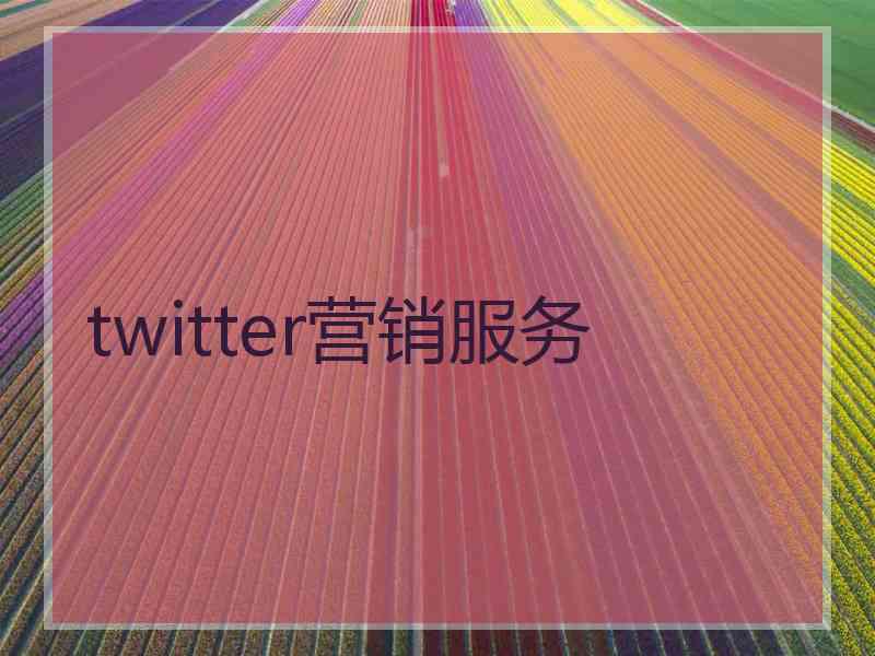 twitter营销服务