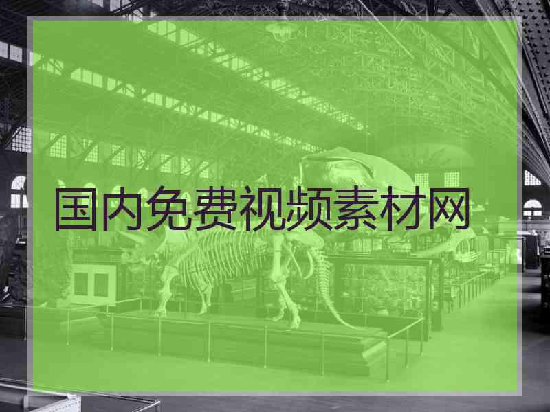 国内免费视频素材网