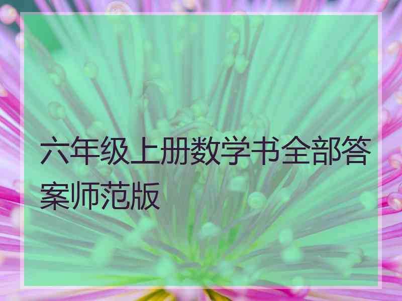 六年级上册数学书全部答案师范版