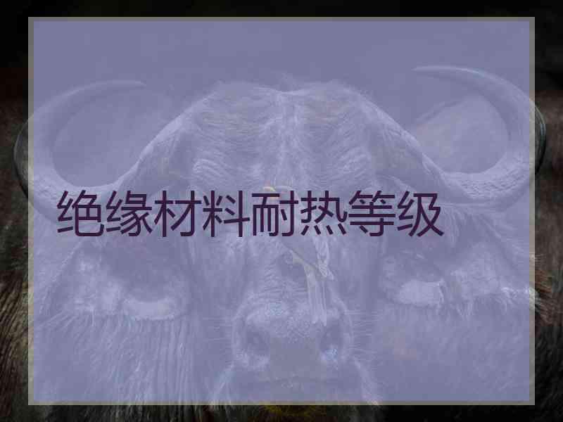 绝缘材料耐热等级