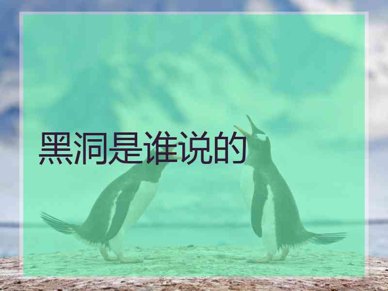 黑洞是谁说的