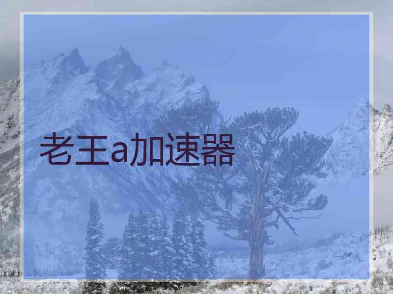 老王a加速器