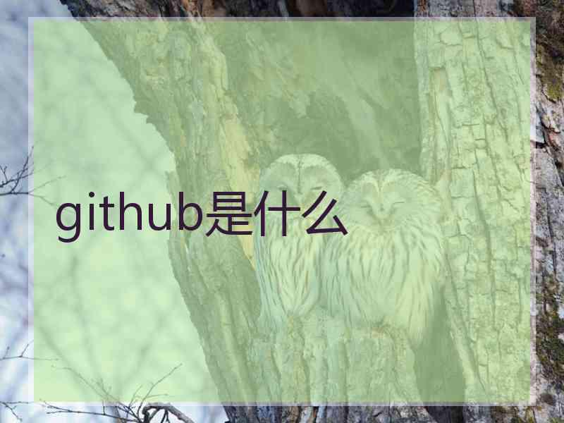 github是什么