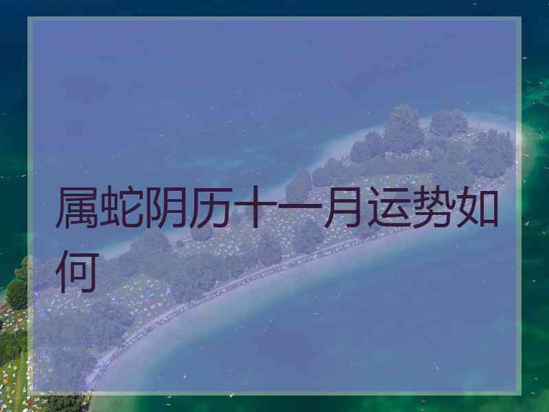 属蛇阴历十一月运势如何