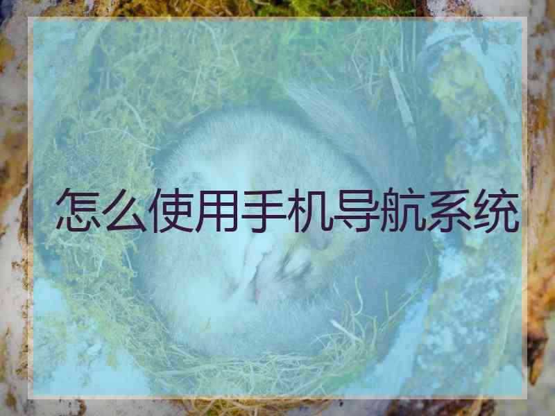 怎么使用手机导航系统