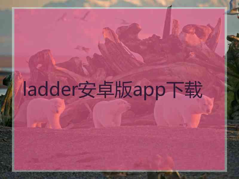 ladder安卓版app下载