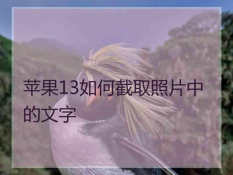 苹果13如何截取照片中的文字