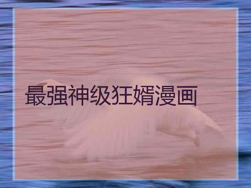最强神级狂婿漫画