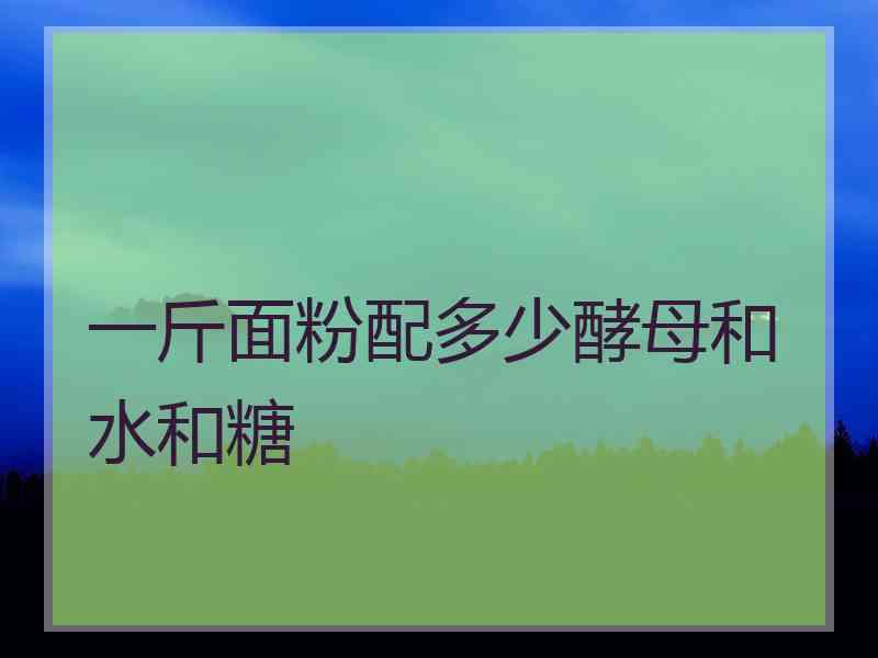 一斤面粉配多少酵母和水和糖